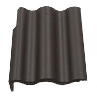 Synus Carbon Krajná