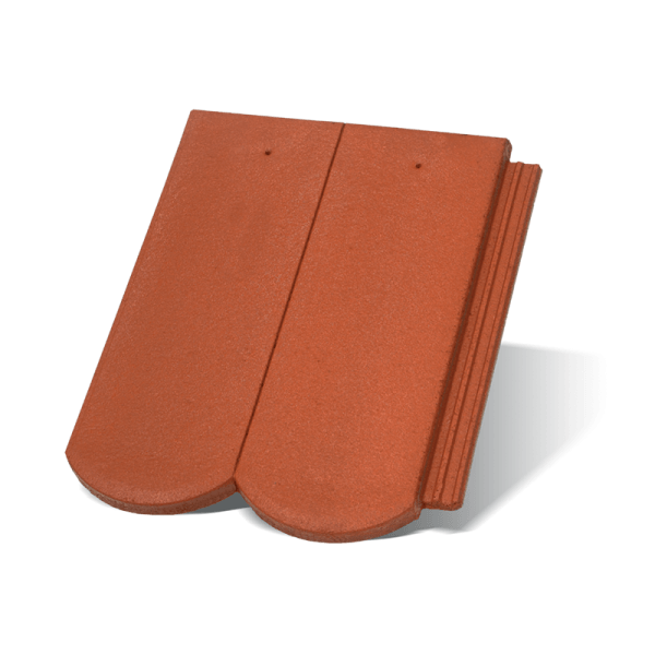 Rundo Korall Základná