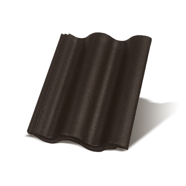 Synus Carbon Základná