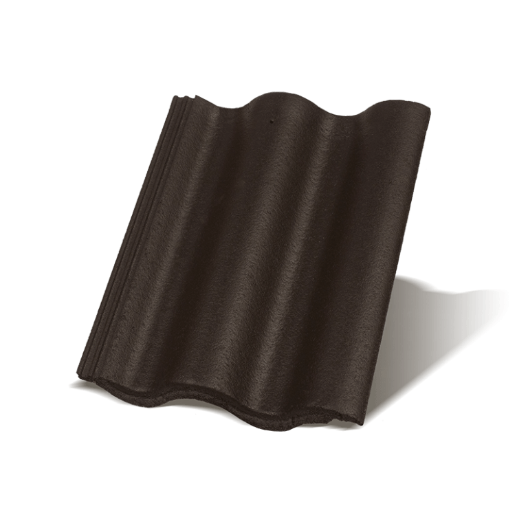 Synus Carbon Základná
