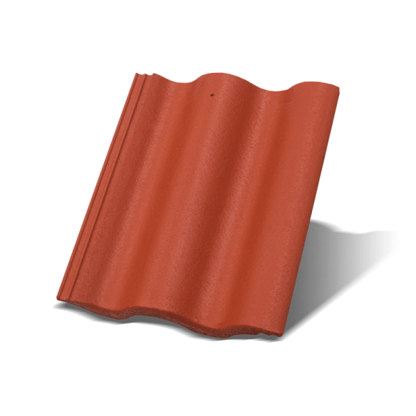 Synus Korall Základná